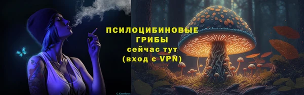 2c-b Семилуки