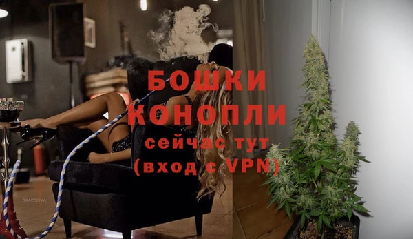 сатива Семёнов